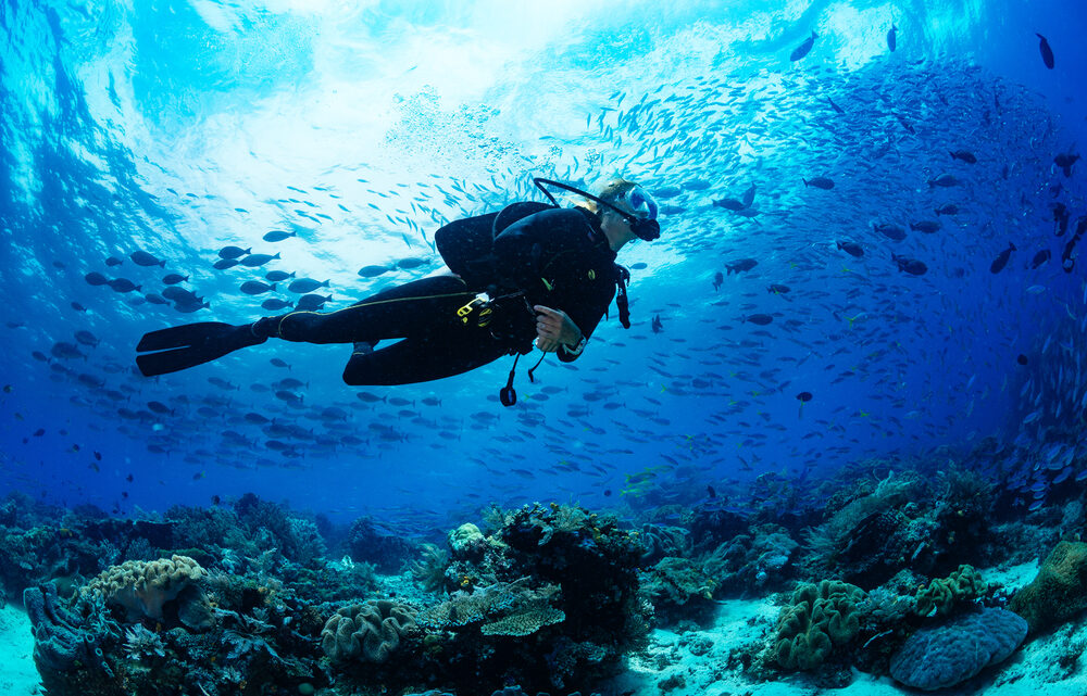 La plongée sous-marine : une expérience à tenter pour des vacances réussies