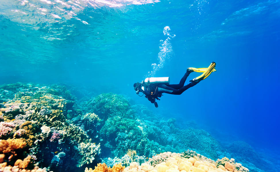 La plongée sous-marine : une expérience à tenter pour des vacances réussies